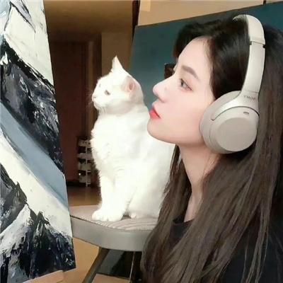 后宫太子妃