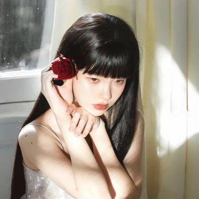 小夜莺